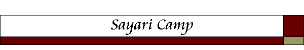 Sayari Camp